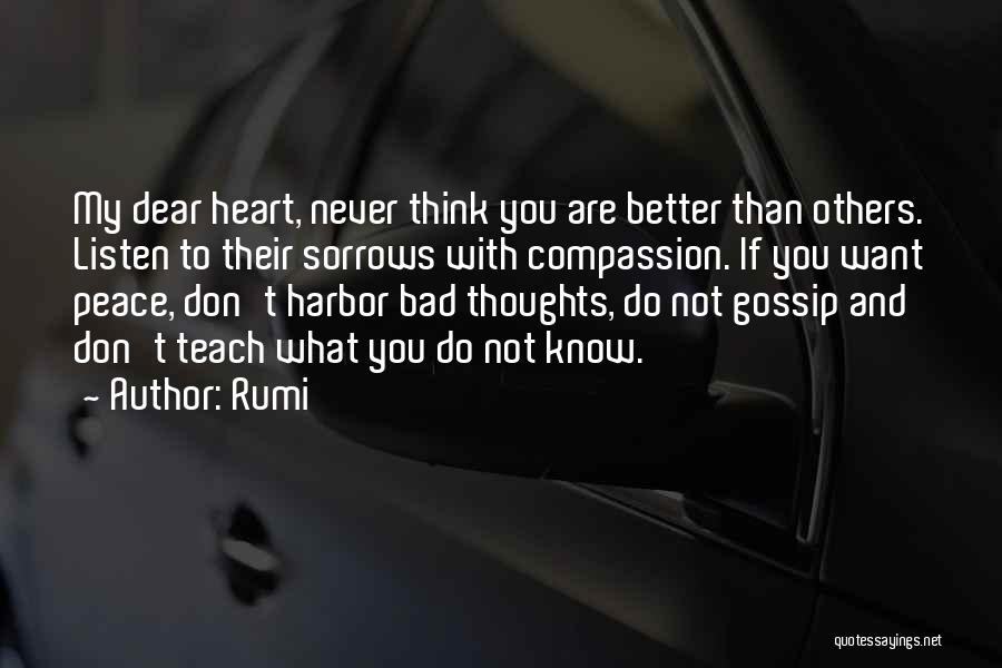 Don't Think You Are Better Than Others Quotes By Rumi
