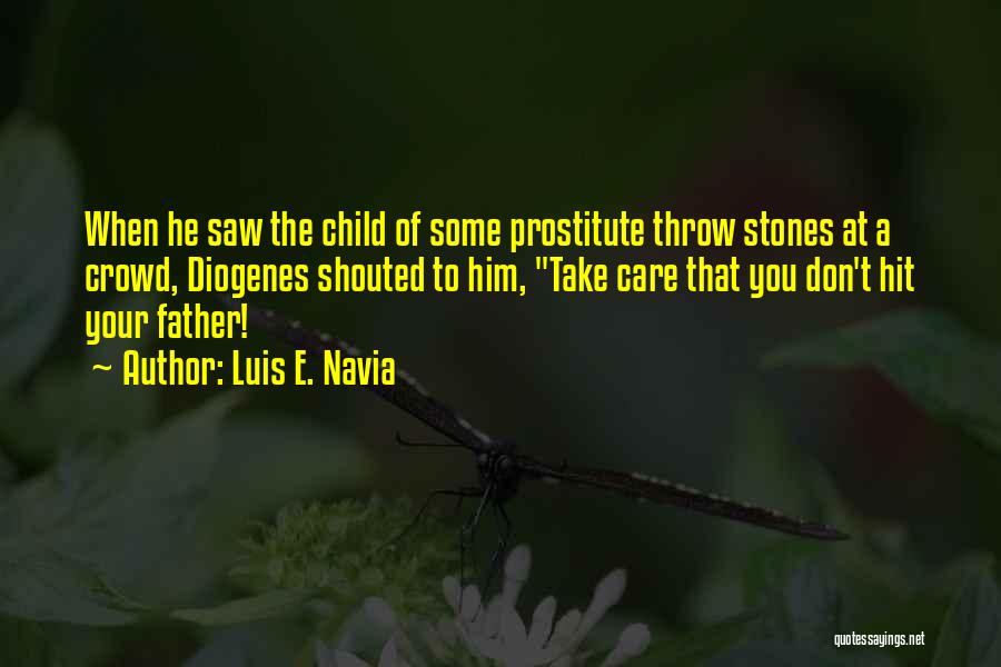 Don't Throw Stones Quotes By Luis E. Navia