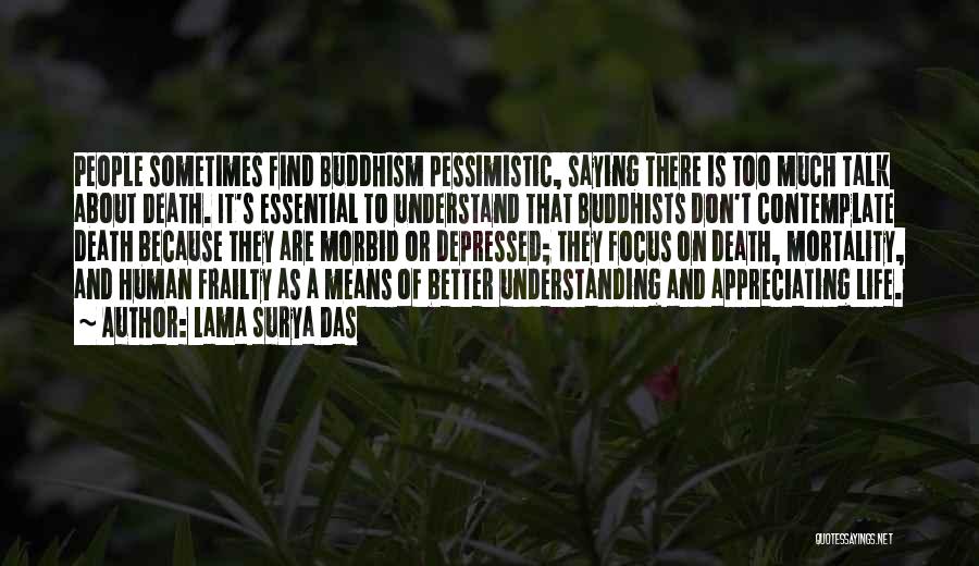 Don't Understand Death Quotes By Lama Surya Das