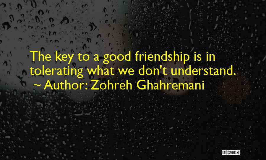 Don't Understand Friendship Quotes By Zohreh Ghahremani