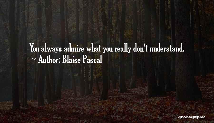 Don't Understand Quotes By Blaise Pascal