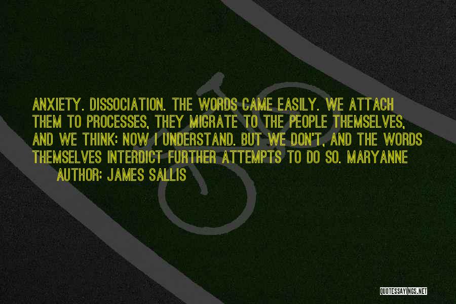 Don't Understand Quotes By James Sallis