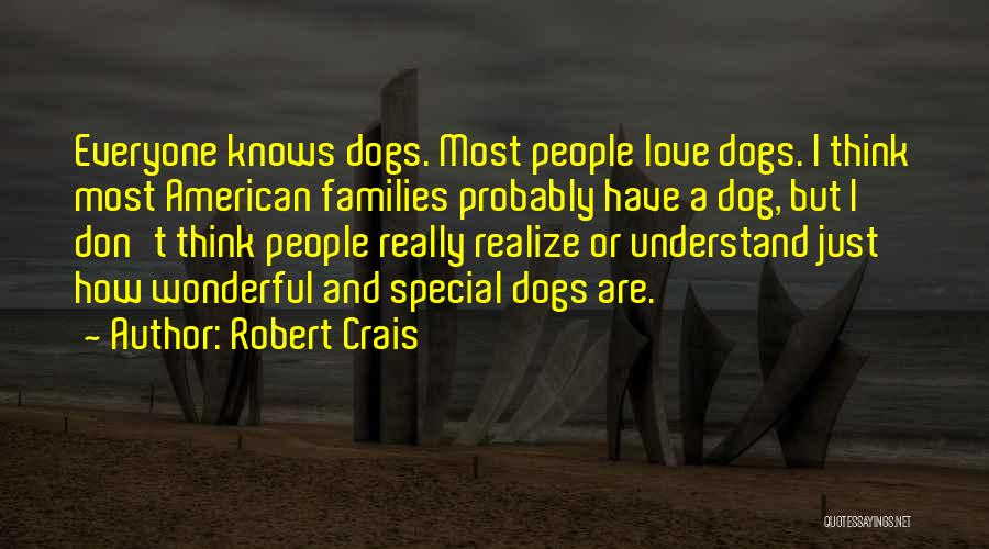 Don't Understand Quotes By Robert Crais