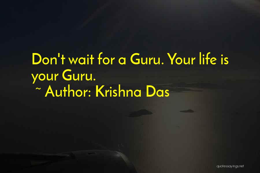 Don't Wait For Life Quotes By Krishna Das