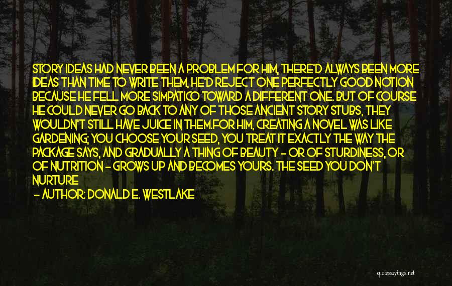 Don't Wait For Time Quotes By Donald E. Westlake