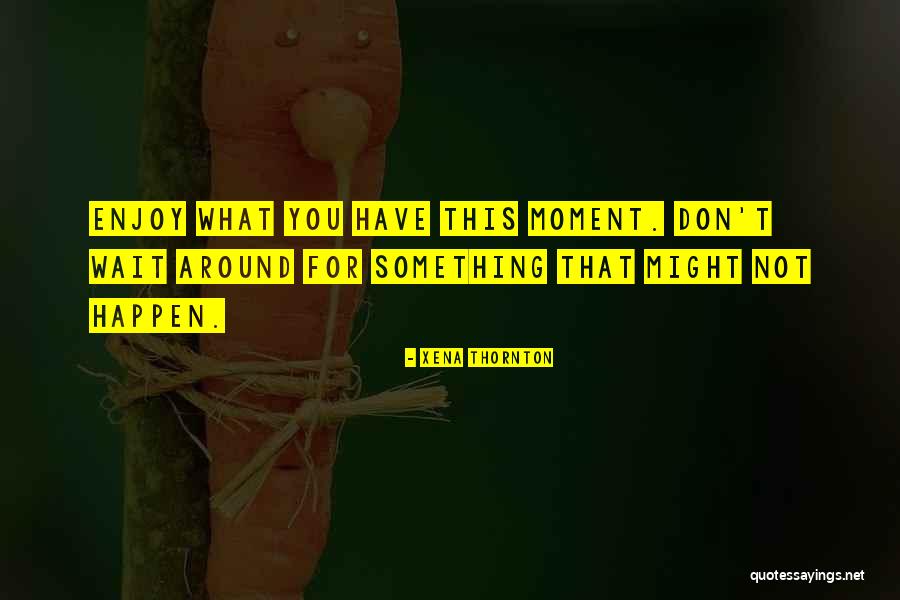 Don't Wait Quotes By Xena Thornton Don't Wait Quotes By Xena Thornton