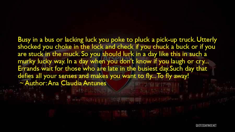 Don't Wait Too Late Quotes By Ana Claudia Antunes