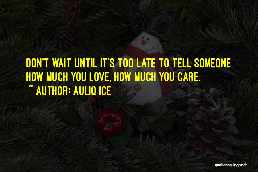 Don't Wait Too Late Quotes By Auliq Ice