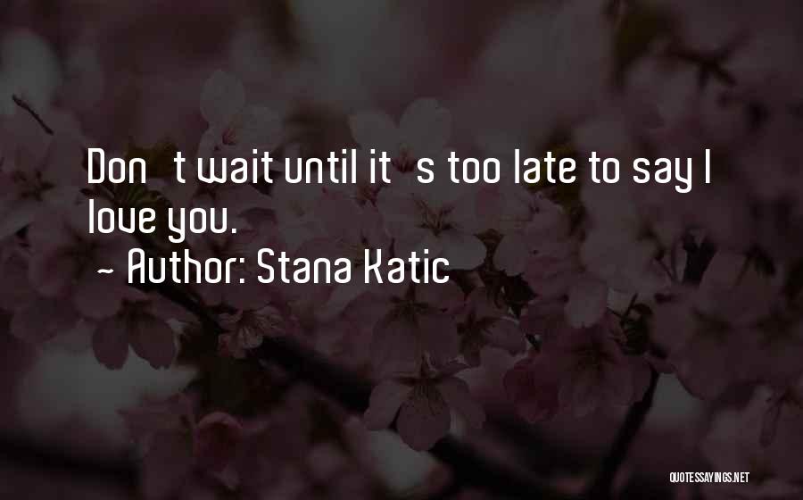 Don't Wait Too Late Quotes By Stana Katic