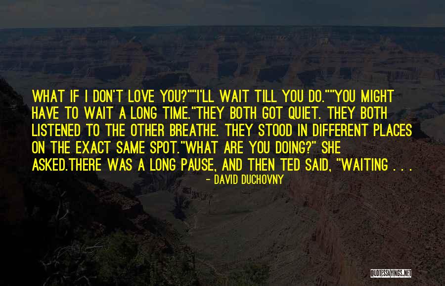 Don't Wait Too Long Love Quotes By David Duchovny