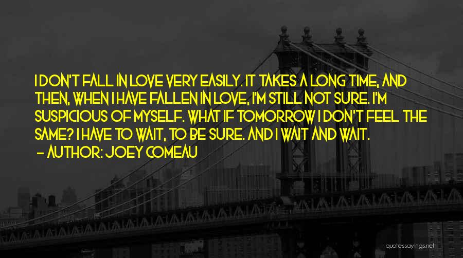 Don't Wait Too Long Love Quotes By Joey Comeau