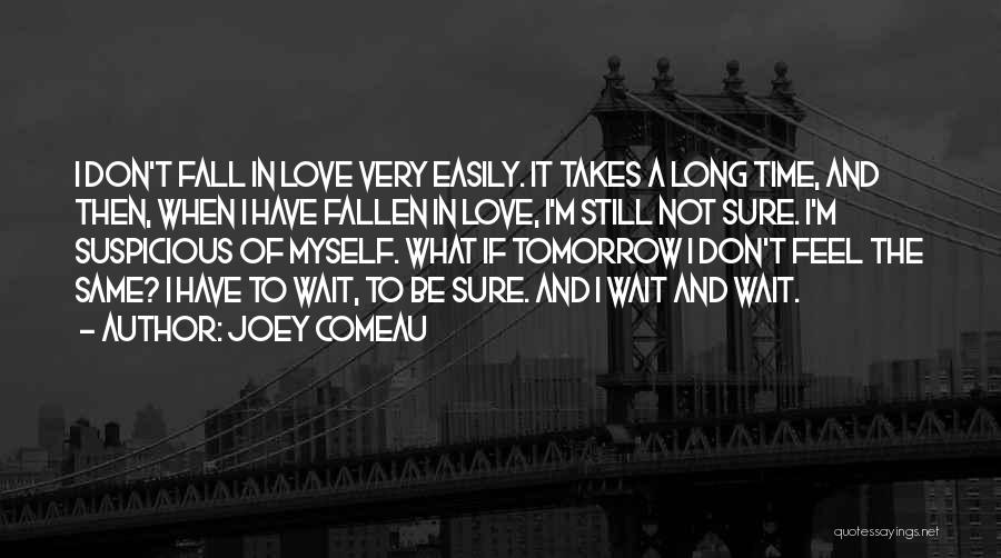 Don't Wait Too Long Quotes By Joey Comeau