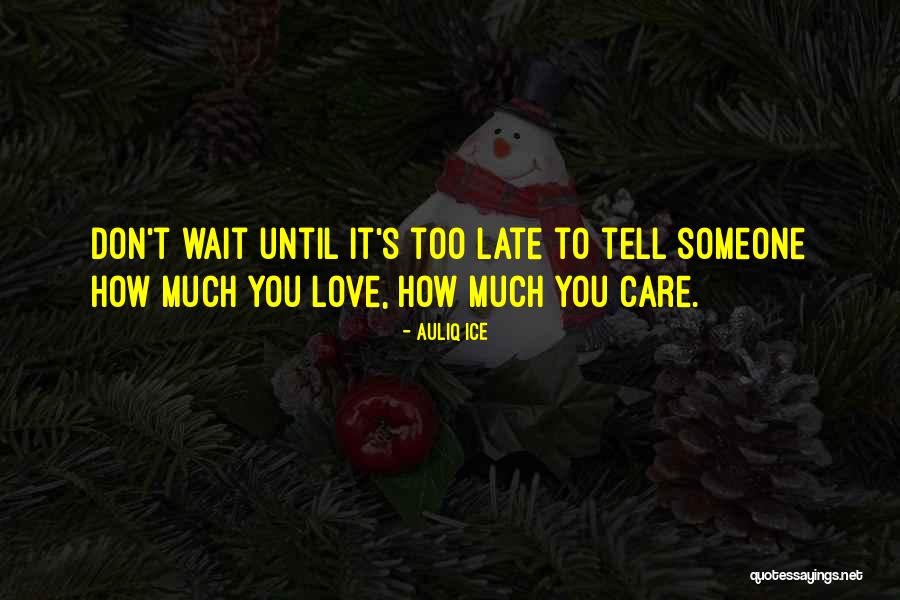 Don't Wait Until It's Too Late Quotes By Auliq Ice
