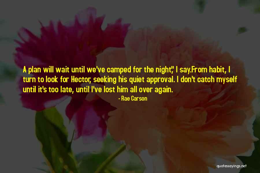 Don't Wait Until It's Too Late Quotes By Rae Carson