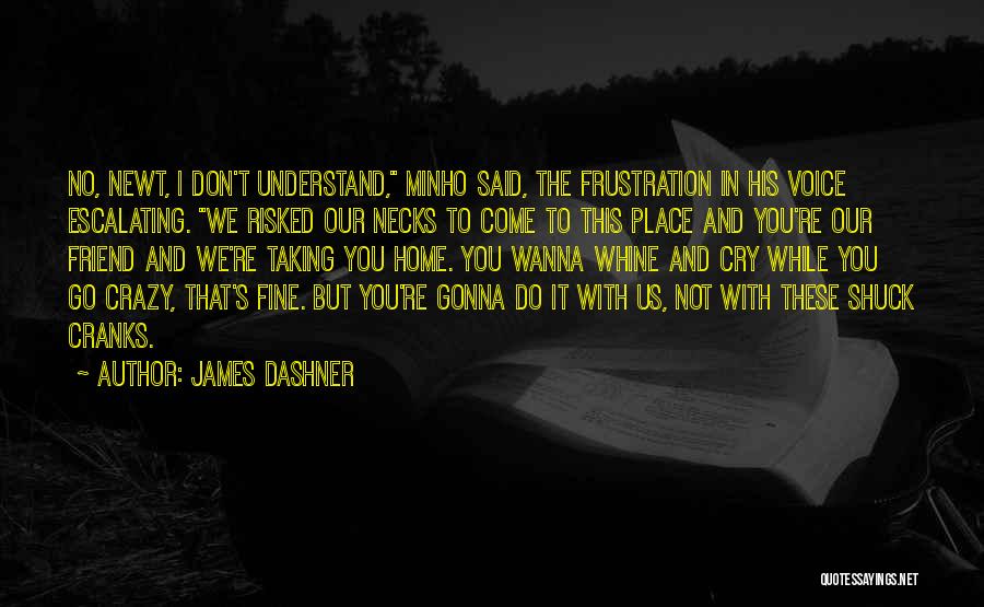 Don't Wanna Go Home Quotes By James Dashner