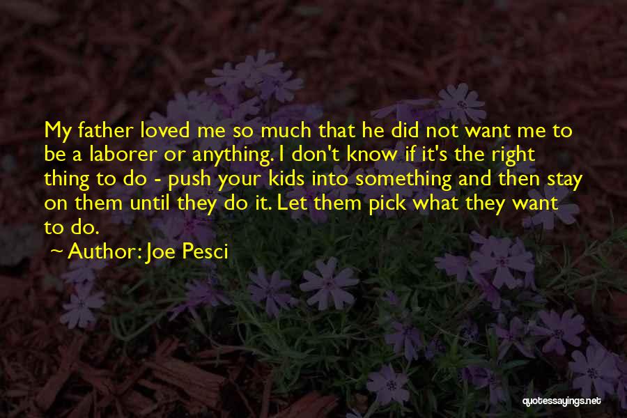 Don't Want To Be Loved Quotes By Joe Pesci