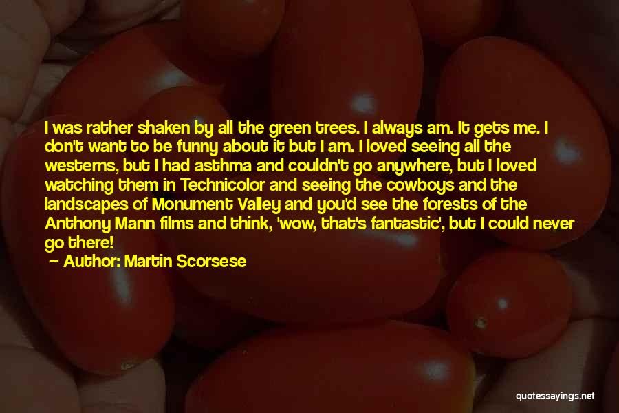 Don't Want To Be Loved Quotes By Martin Scorsese