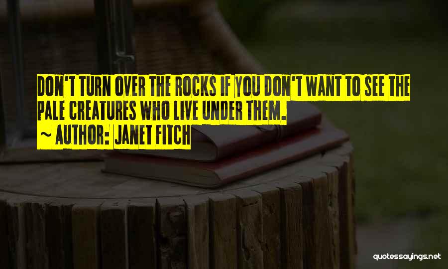 Don't Want To See You Quotes By Janet Fitch