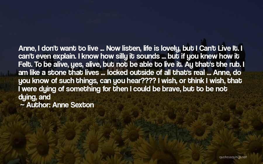 Don't Want To Talk To Me Quotes By Anne Sexton