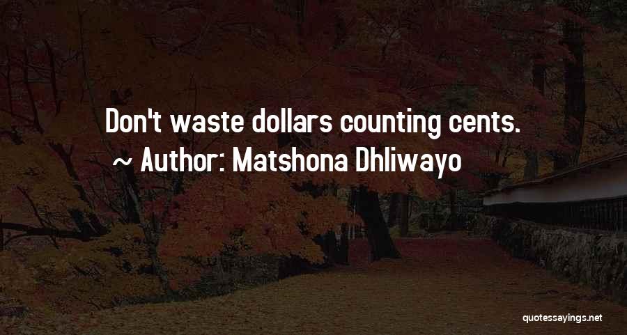 Don't Waste Money Quotes By Matshona Dhliwayo