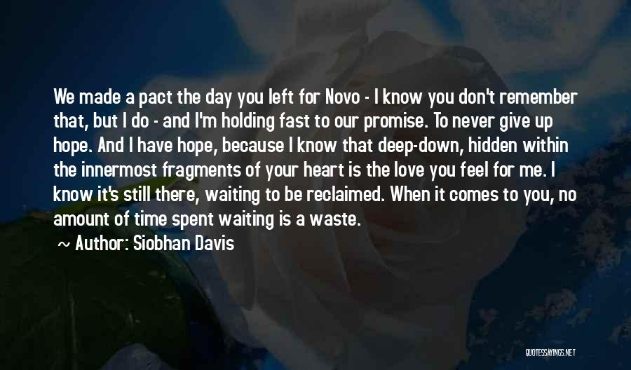 Don't Waste My Time Love Quotes By Siobhan Davis