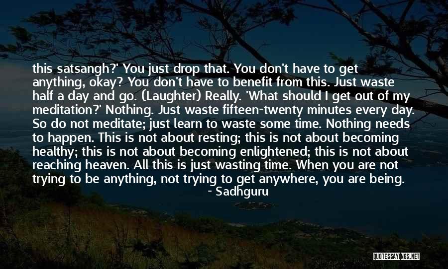 Don't Waste My Time Quotes By Sadhguru