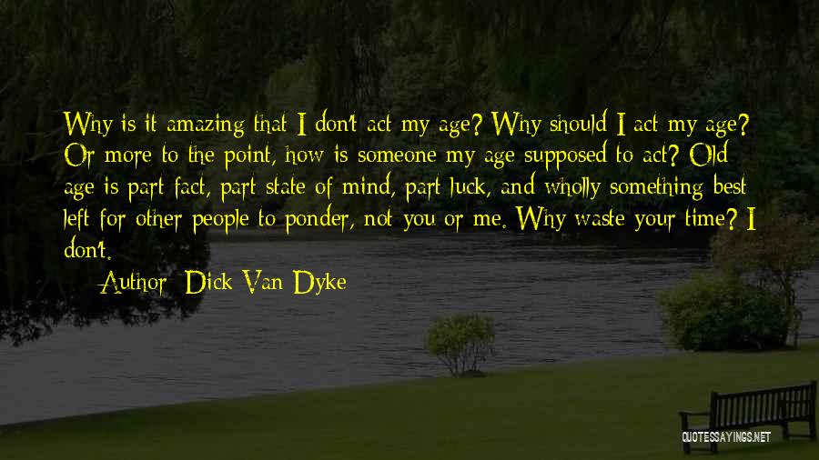 Don't Waste Time Quotes By Dick Van Dyke