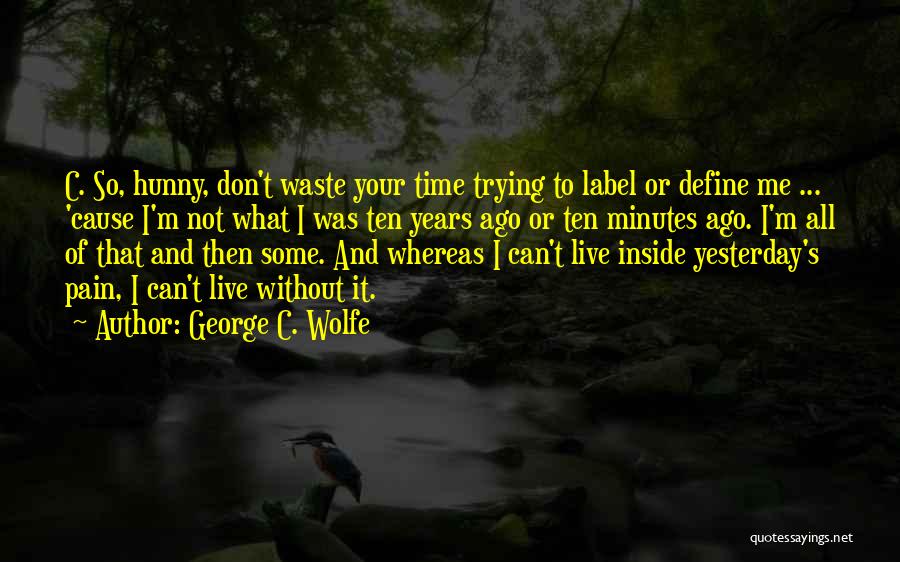Don't Waste Time Quotes By George C. Wolfe