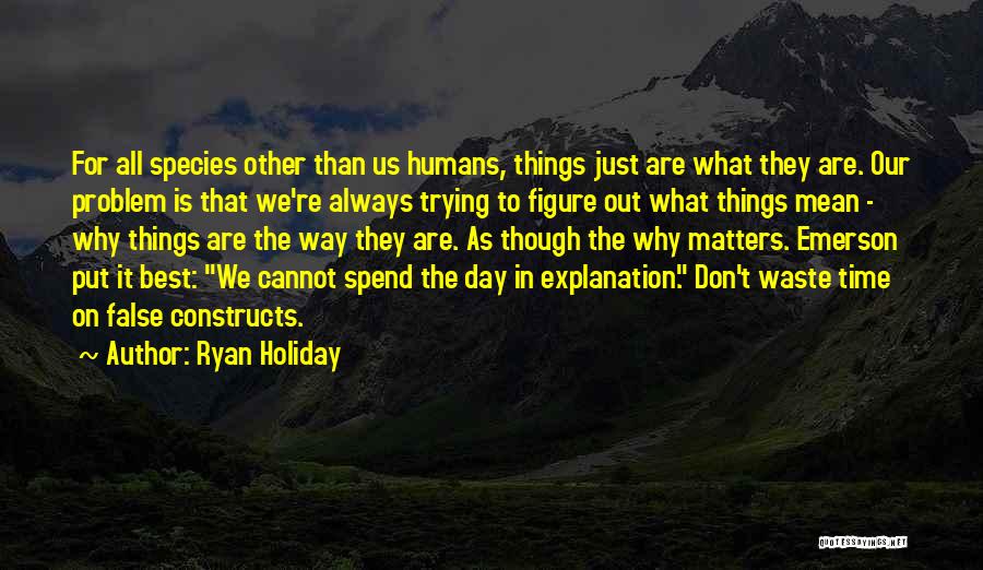 Don't Waste Time Quotes By Ryan Holiday