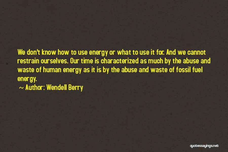 Don't Waste Time Quotes By Wendell Berry