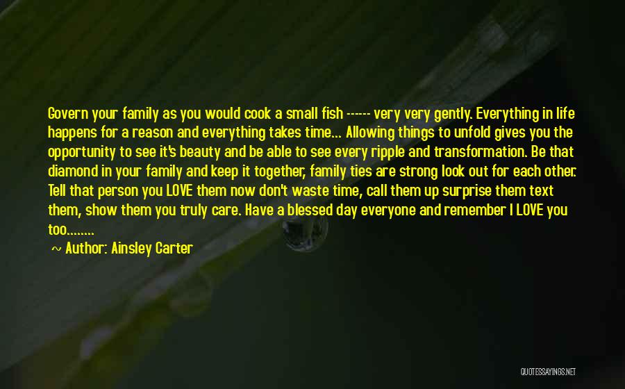 Don't Waste Your Life Quotes By Ainsley Carter