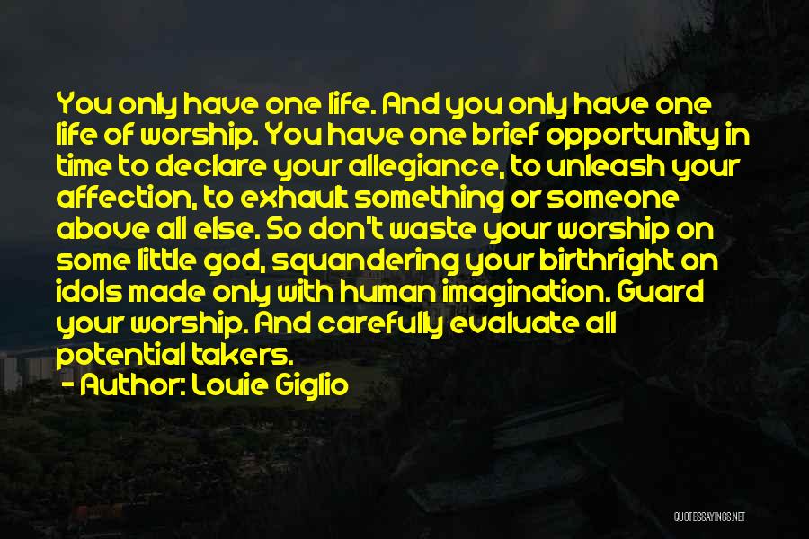 Don't Waste Your Life Quotes By Louie Giglio