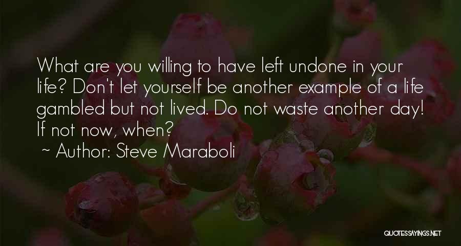 Don't Waste Your Life Quotes By Steve Maraboli