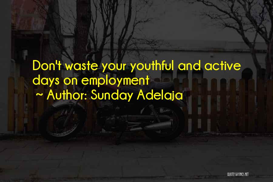 Don't Waste Your Life Quotes By Sunday Adelaja