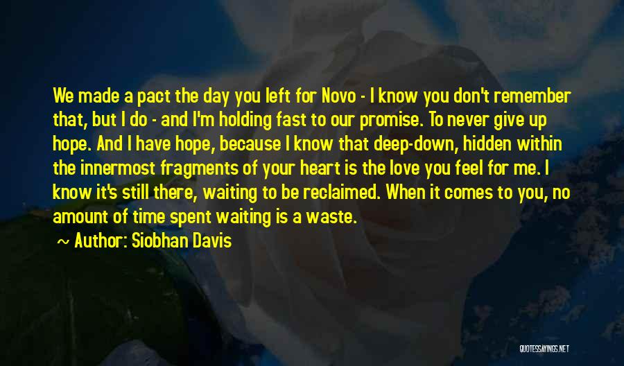 Don't Waste Your Time In Love Quotes By Siobhan Davis