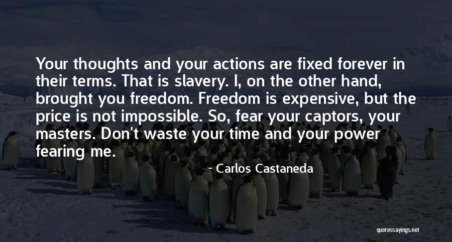 Don't Waste Your Time Quotes By Carlos Castaneda