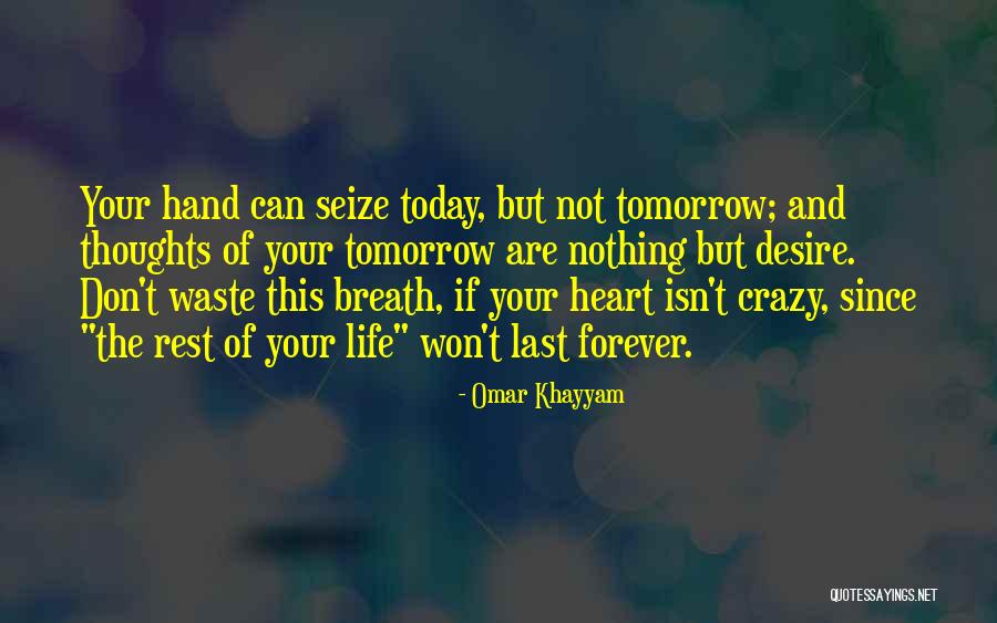 Don't Waste Your Time Quotes By Omar Khayyam