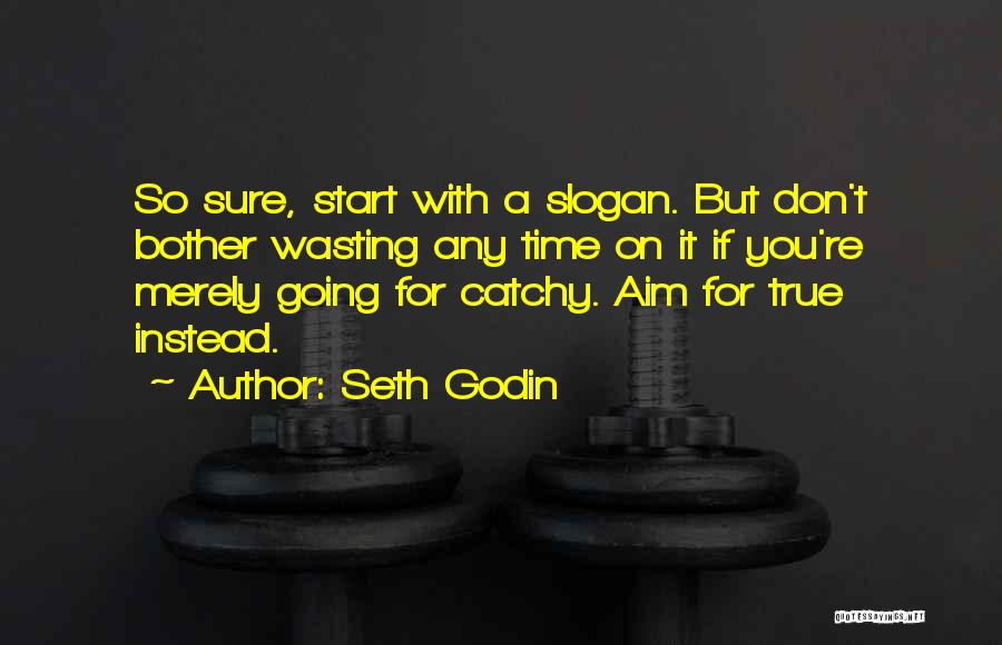 Don't Wasting Time Quotes By Seth Godin