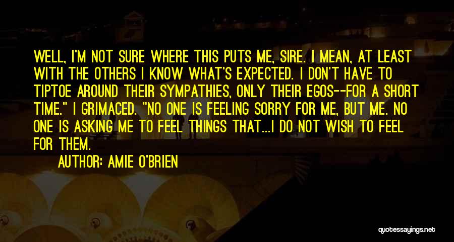 Don't Wish Do Quotes By Amie O'Brien