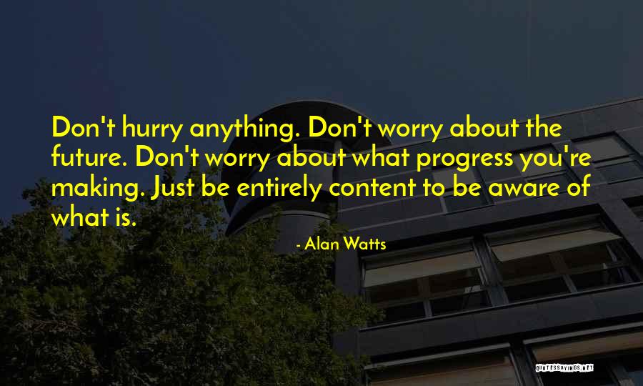 Don't Worry About The Future Quotes By Alan Watts