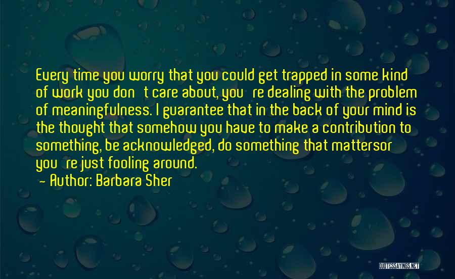 Don't Worry About Work Quotes By Barbara Sher