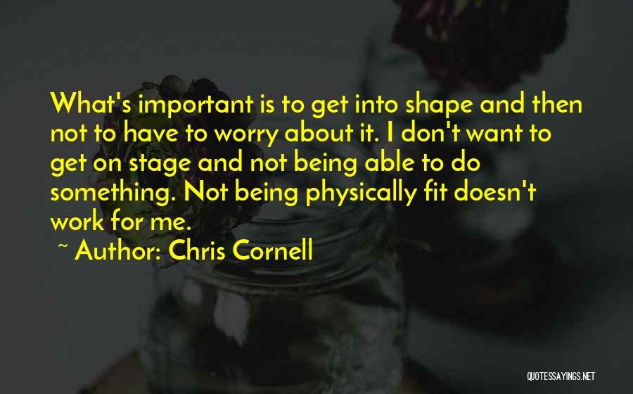 Don't Worry About Work Quotes By Chris Cornell