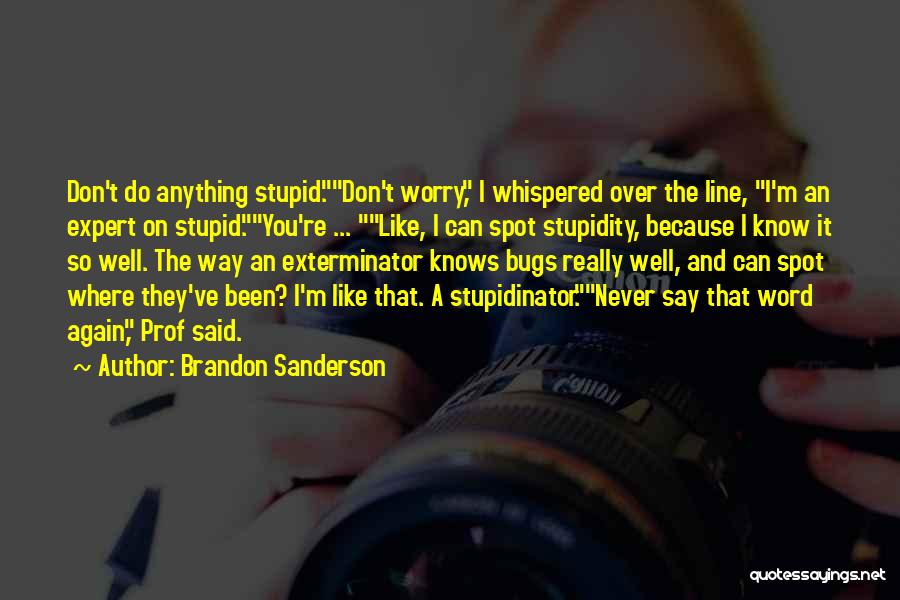 Don't Worry Funny Quotes By Brandon Sanderson