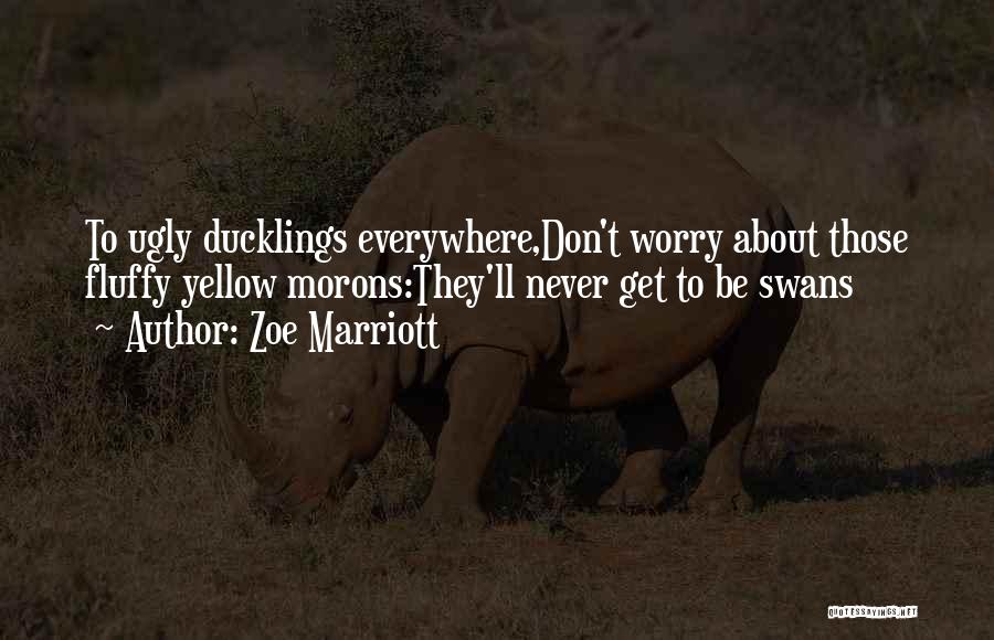 Don't Worry Funny Quotes By Zoe Marriott