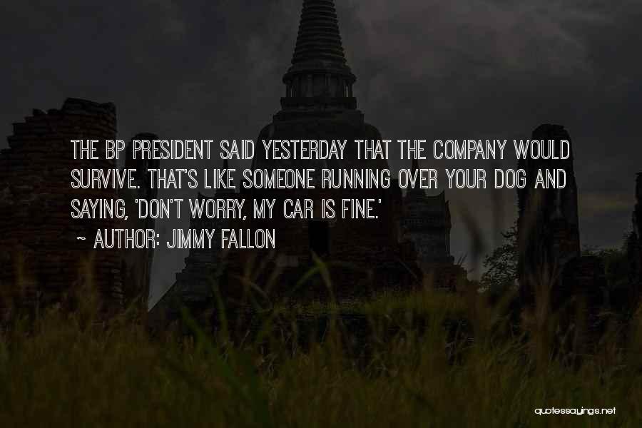 Don't Worry You Will Be Fine Quotes By Jimmy Fallon