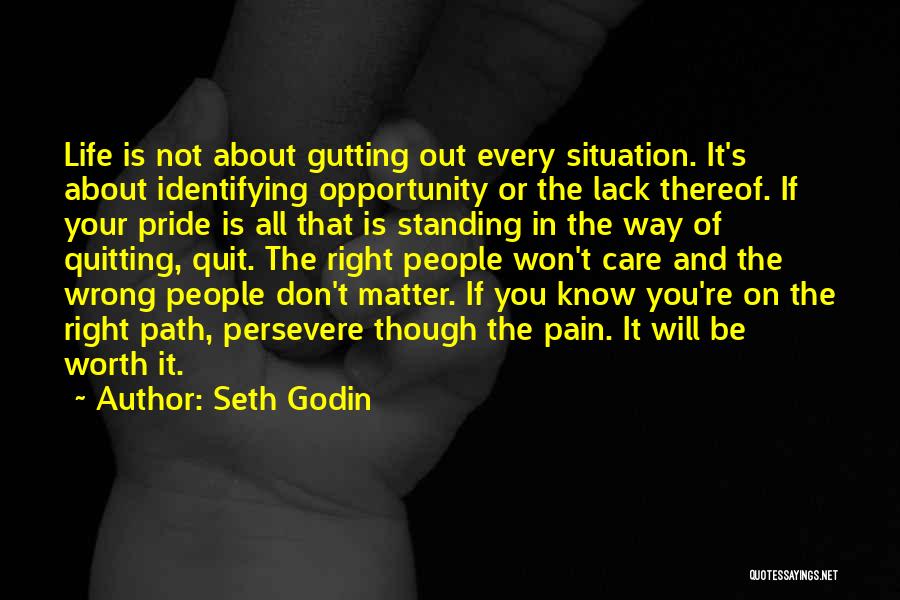 Don't You Quit Quotes By Seth Godin