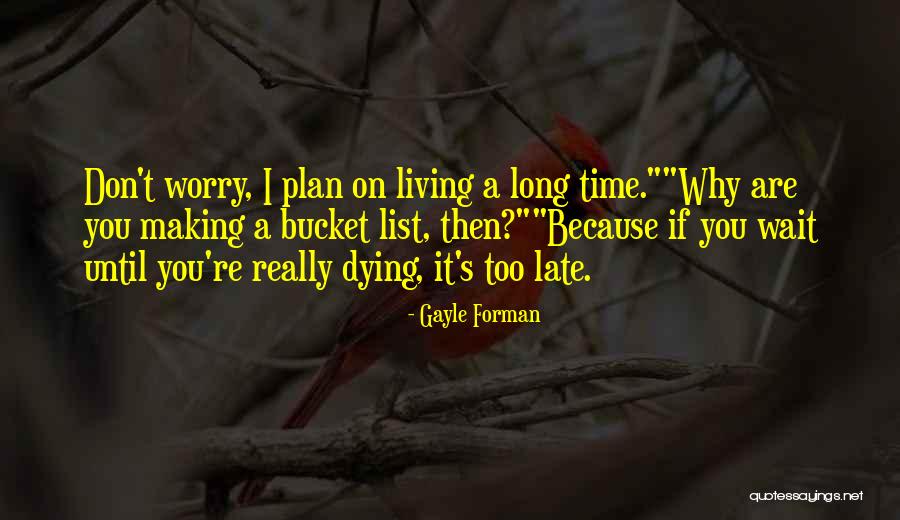 Don't You Worry Quotes By Gayle Forman