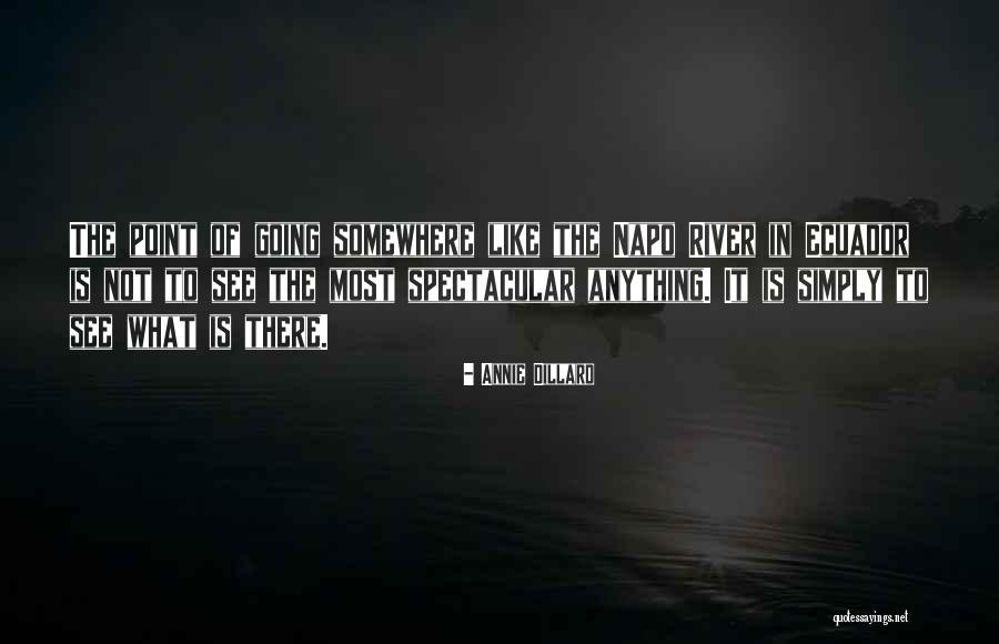 Donuktas Quotes By Annie Dillard Donuktas Quotes By Annie Dillard