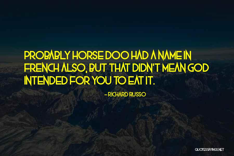 Doo Doo Quotes By Richard Russo