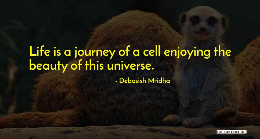 Doodgewone Jongen Quotes By Debasish Mridha Doodgewone Jongen Quotes By Debasish Mridha